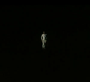 Sensuelle Solitude de Nils Tavernier (1995)